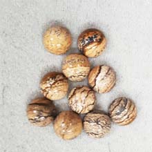 10MM ROUND CABOCHON PICTURE JASPER(10PCS/BAG)